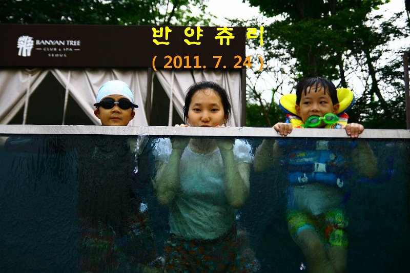 2011 banyan tree00.jpg